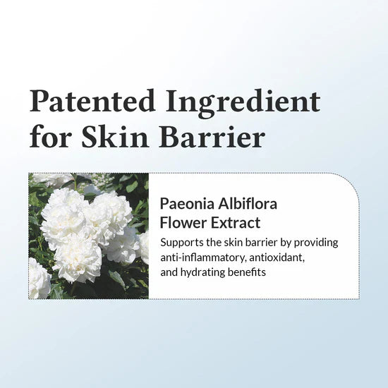 Dr Althea 147 Barrier Cream Korean skincare moisturizer